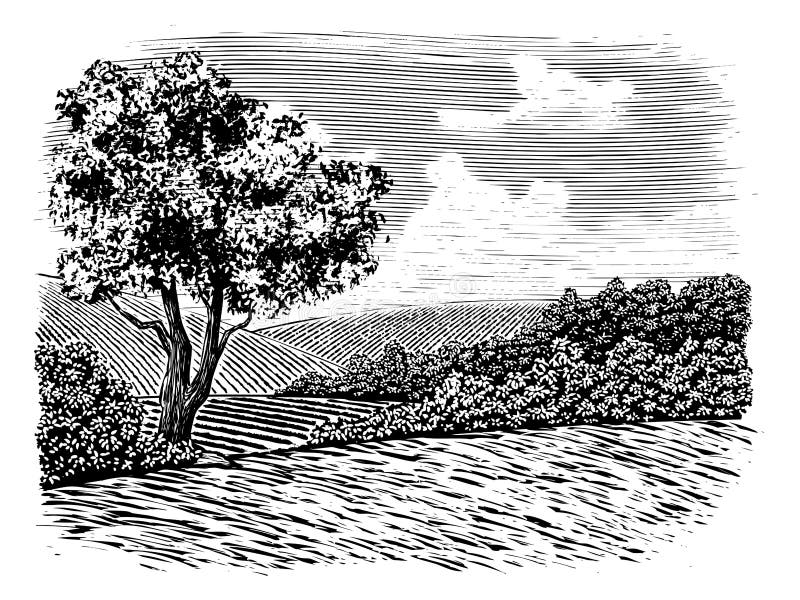 Woodcut illustration of a countryside scene with rolling hills. Woodcut illustration of a countryside scene with rolling hills