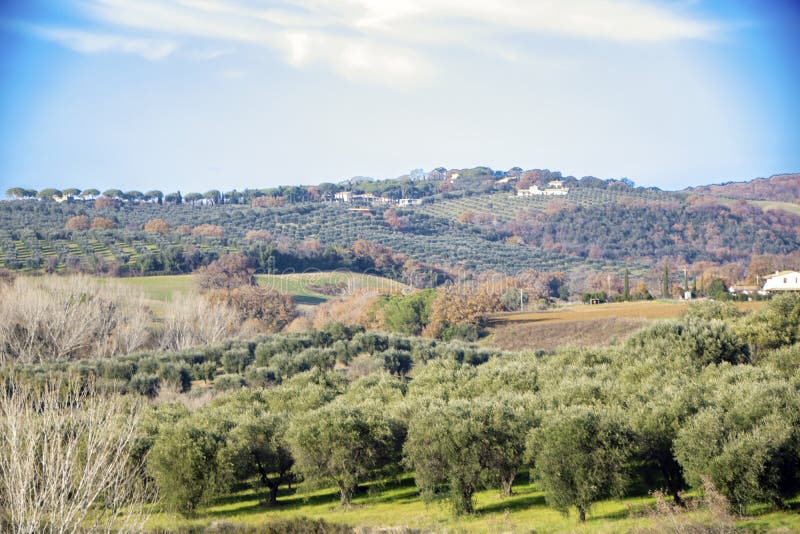 Campagne de Maremma image libre de droits Campagne de Maremma image libre de droits
