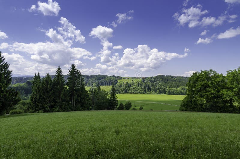 Campagne suisse image stock Campagne suisse image stock