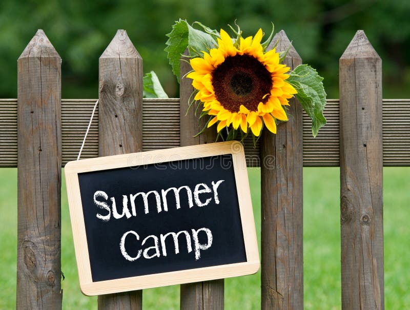 Campamento de verano - pizarra con el texto y el girasol fotos de archivo libres de regalías Campamento de verano - pizarra con el texto y el girasol fotos de archivo libres de regalías