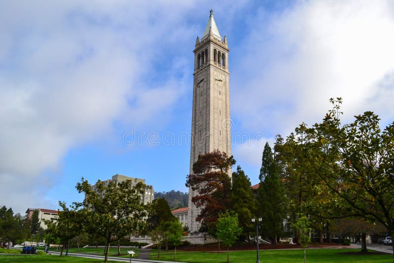 Campanile no terreno de Universidade da California fotos de stock Campanile no terreno de Universidade da California fotos de stock