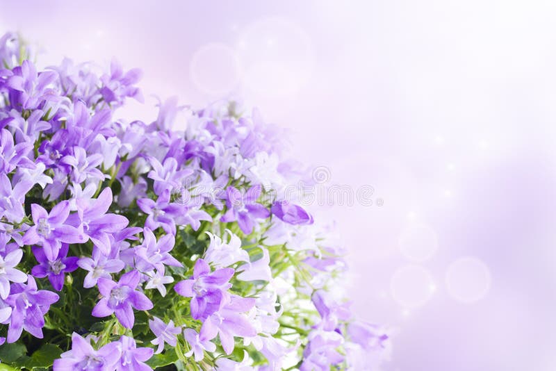 Spring Background Stock Photos and Images - 123RF