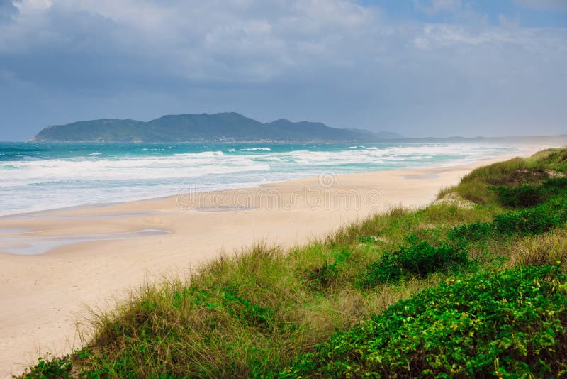 Campeche Beach and Blue Ocean with Waves. Brazil Beach Stock Photo Image of chill, island