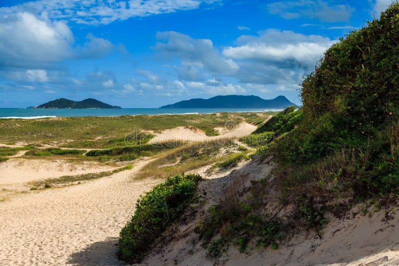 Campeche Beach with Dunes and Atlantic Ocean. Brazil Beach Stock Image Image of brazilian