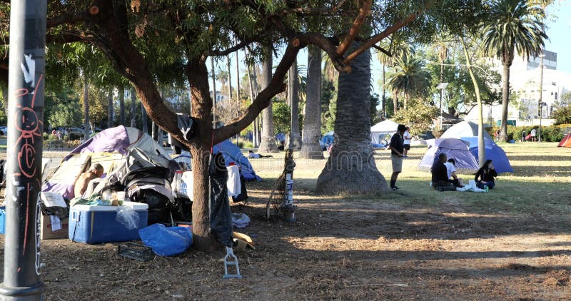 Campement sans abri au milieu des arbres dans le parc d'echo