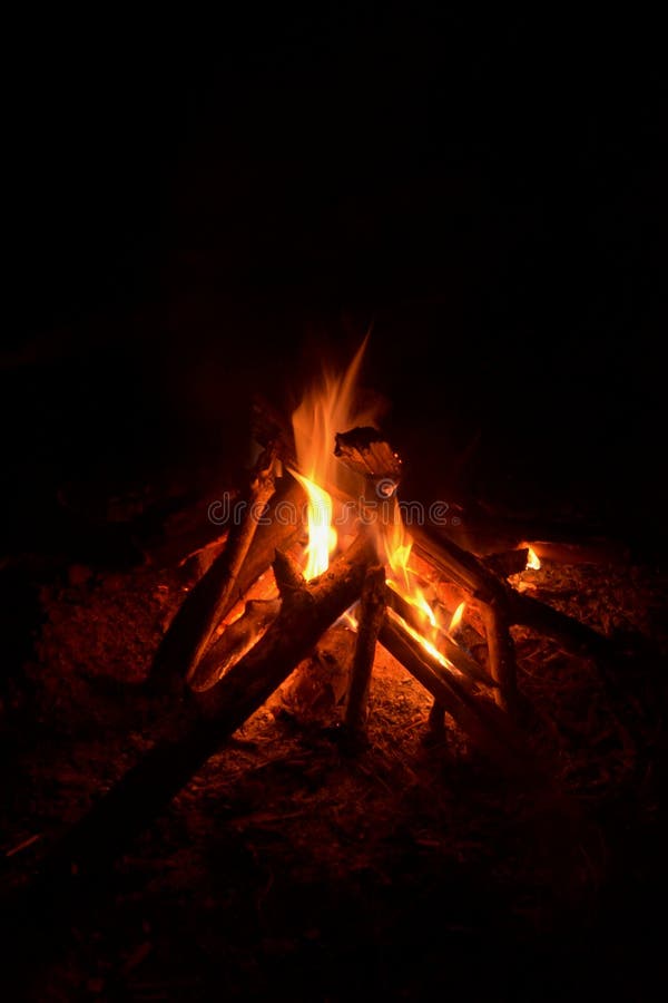 Campfire Light in the Dark Night Forest Stock Photo Image of trees