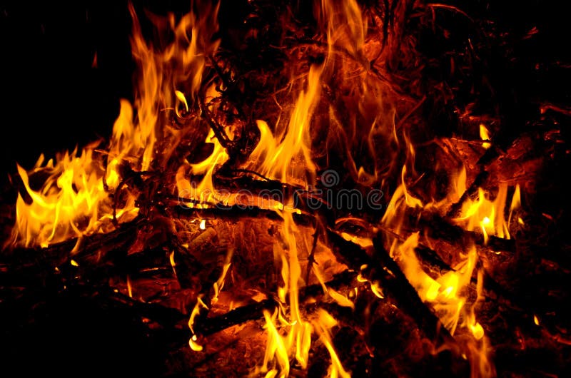 Campfire burning at night stock photo. Image of burning 6392250