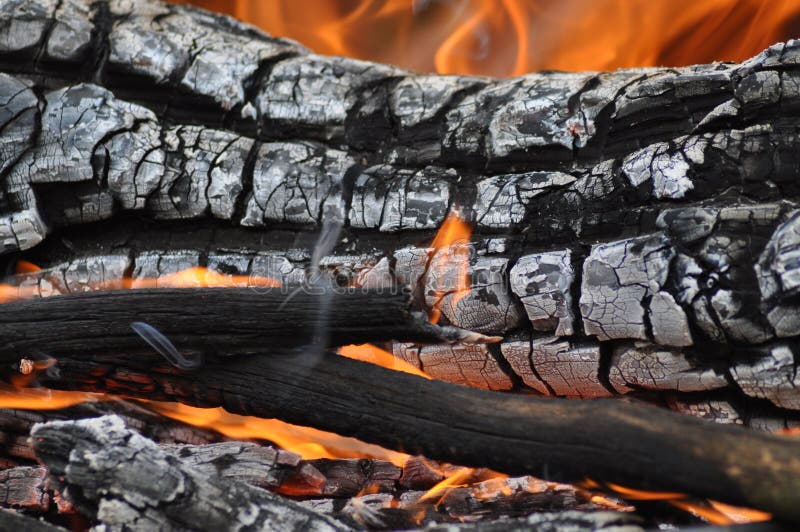 Campfire Up-Close