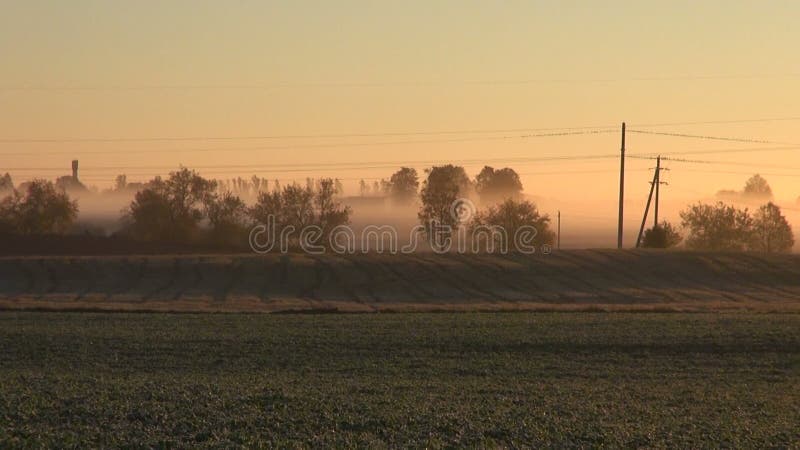 Campi del terreno coltivabile dell'estremità di estate e di alba