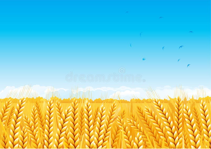 Campi di grano royalty illustrazione gratis Campi di grano royalty illustrazione gratis