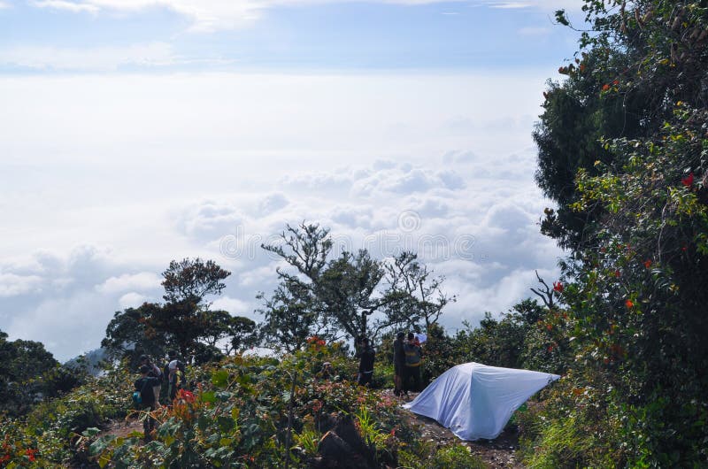 Camping Above the White Clouds Stock Photo Image of tree, tourism 208203170