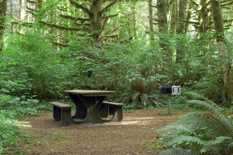 Camping bench