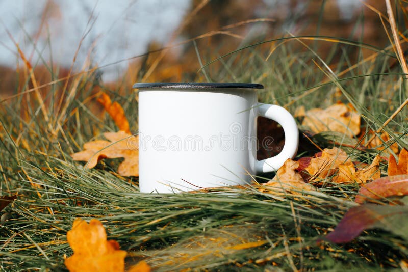 https://thumbs.dreamstime.com/b/camping-enameled-white-mug-mock-up-standing-green-grass-fallen-autumn-leaves-outdoors-metal-blank-cup-empty-space-232952236.jpg
