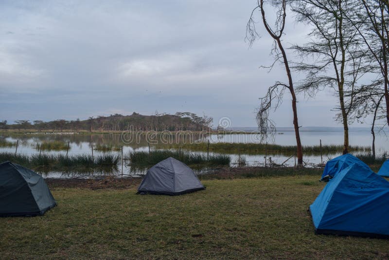 Camping at Lake Elementaita, Kenya Stock Photo Image of campsite