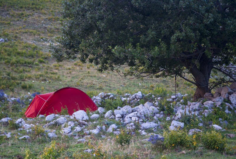 Camping with orange tent stock image. Image of orange 261192707