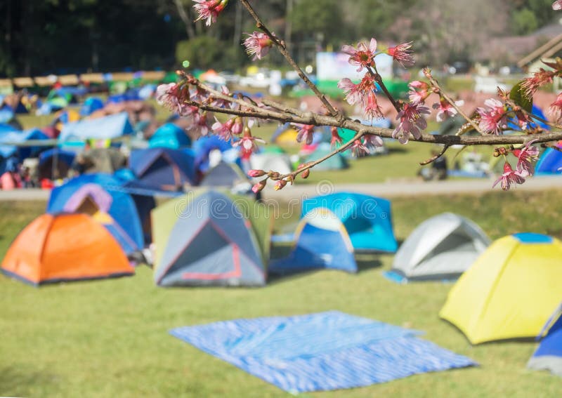Camping sites with tents stock photos