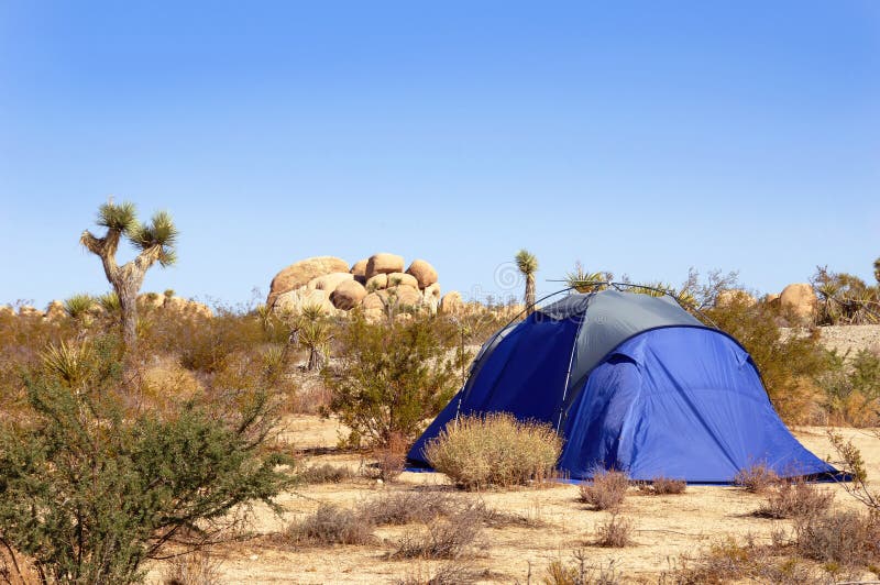 Camping Tent in the Mojave Desert Stock Photo Image of camping, trip