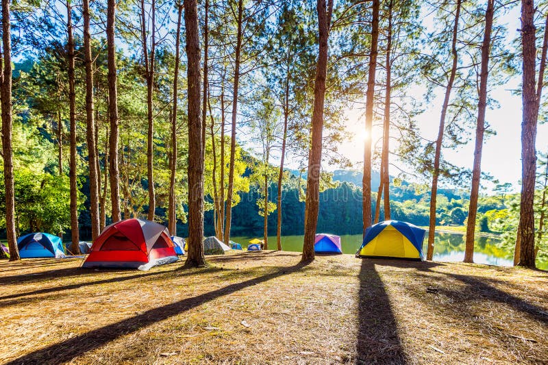 Camping tents under pine trees with sunlight at Pang Ung lake, Mae Hong Son in THAILAND