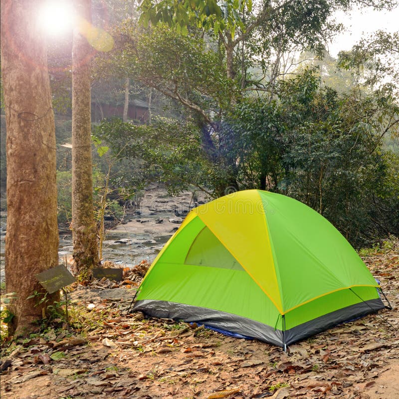 Camping Tents Underneath Big Trees. Stock Photo Image of blue, pleasure 66711482