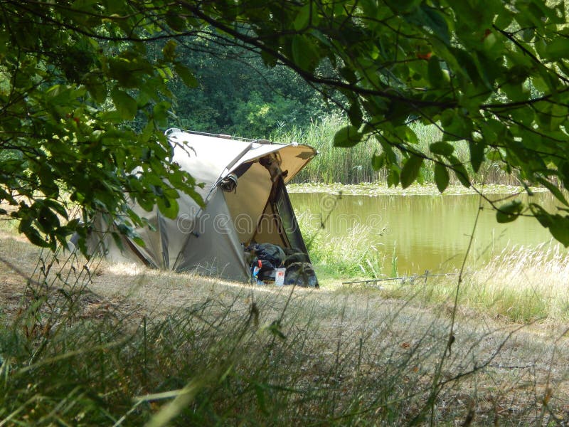 Camping, Tree, Plant, Tent Picture. Image 112201040