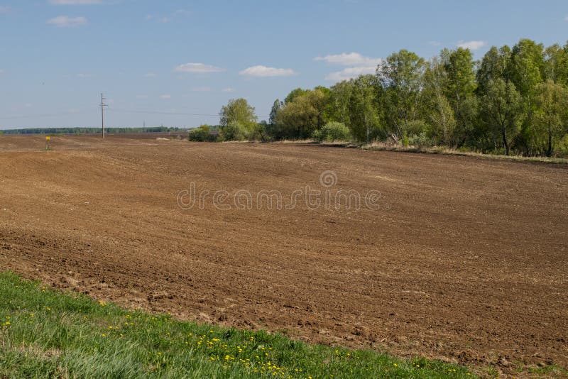Campo agr?cola arado preparado para colheitas de planta??o em Sib?ria, R?ssia fotografia de stock Campo agr?cola arado preparado para colheitas de planta??o em Sib?ria, R?ssia fotografia de stock