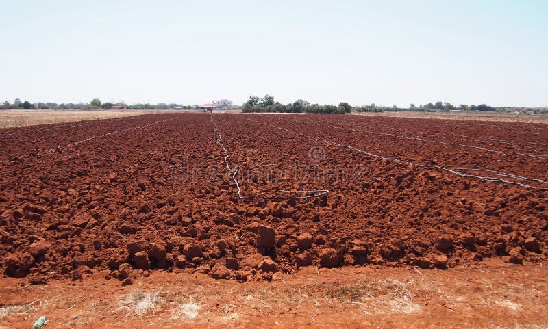 Campo arato dell'azienda agricola con suolo rosso nel Cipro immagine stock Campo arato dell'azienda agricola con suolo rosso nel Cipro immagine stock