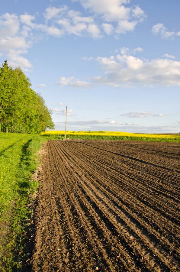 Campo arato dell'azienda agricola in primavera fotografia stock libera da diritti Campo arato dell'azienda agricola in primavera fotografia stock libera da diritti