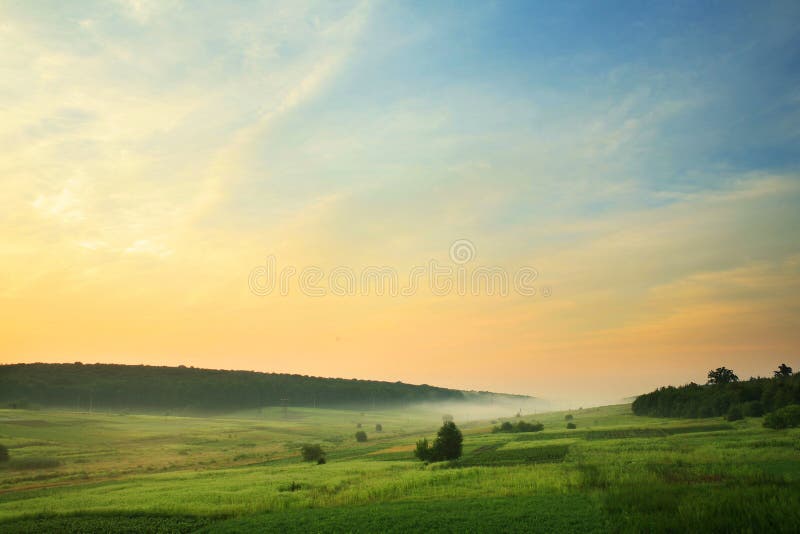 An image of a green foggy field. An image of a green foggy field