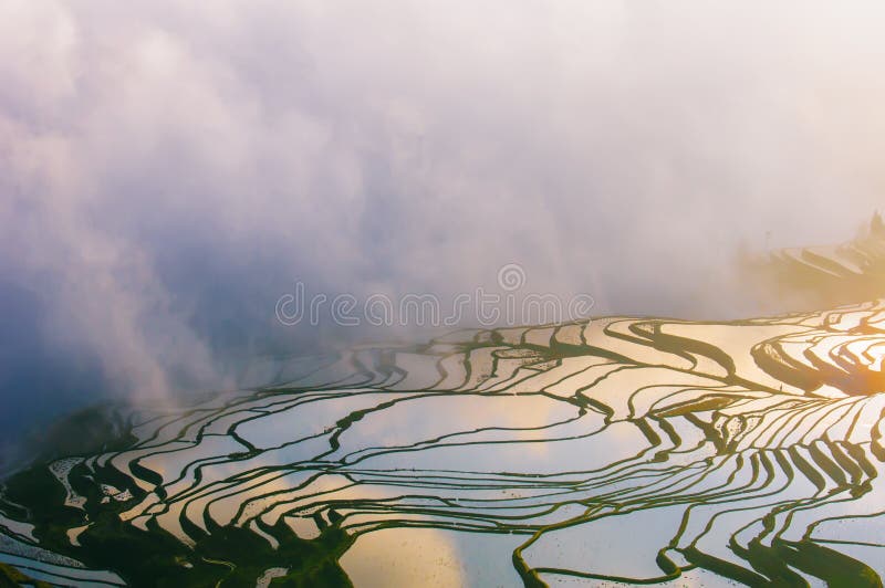Campo colgante de Yuanyang en el amanecer imagen de archivo libre de regalías Campo colgante de Yuanyang en el amanecer imagen de archivo libre de regalías