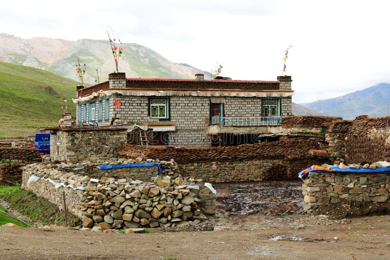 The great beautiful mustard flower field at Tibet is easily to see on July-August. The great beautiful mustard flower field at Tibet is easily to see on July-August