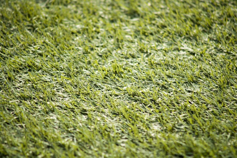 Campo de fútbol, césped, césped, césped, verde foto de archivo Campo de fútbol, césped, césped, césped, verde foto de archivo