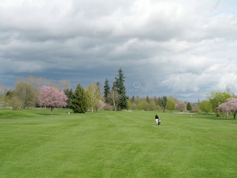 Golf course with single golfer golfing. Golf course with single golfer golfing.