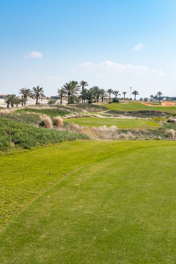 Campo de golf en la isla de Saadiyat, Abu Dhabi, UAE foto de archivo Campo de golf en la isla de Saadiyat, Abu Dhabi, UAE foto de archivo