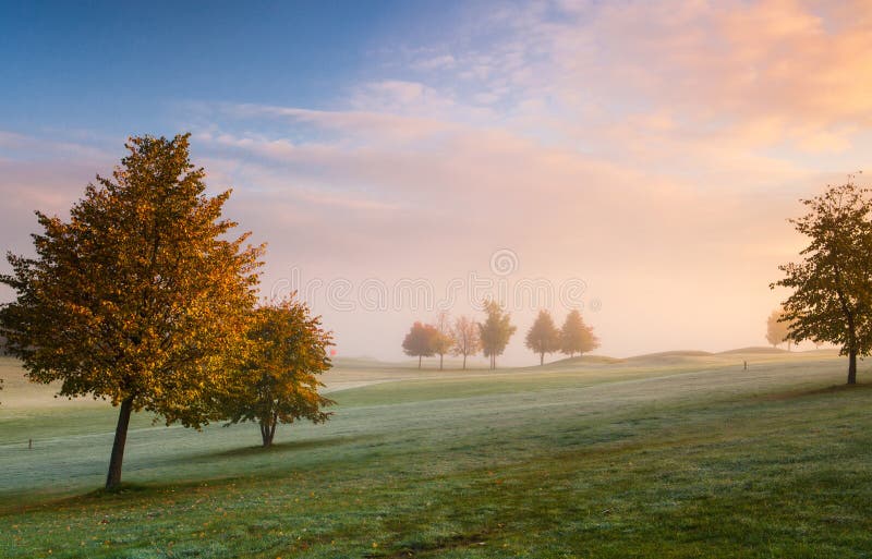 On the golf course in the morning mist. On the golf course in the morning mist