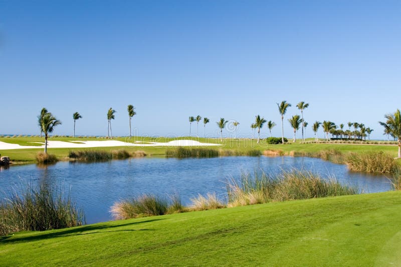 Campo de Golfe fotos de stock royalty free