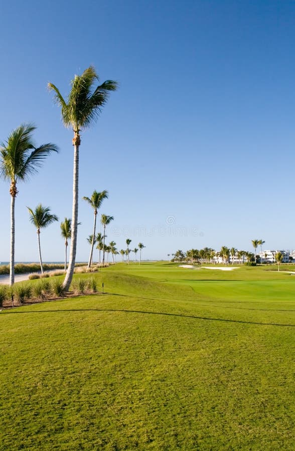 Campo de Golfe fotos de stock