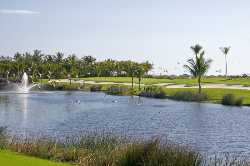 Campo de Golfe foto de stock royalty free