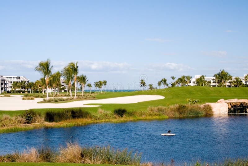 Campo de Golfe fotos de stock royalty free