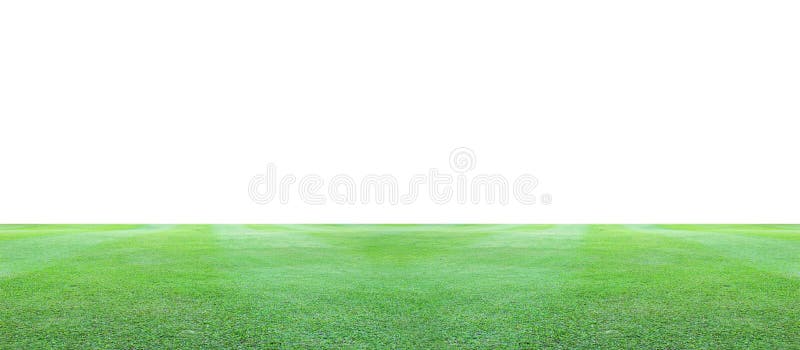 Campo de relva verde sobre um fundo branco fotos de stock