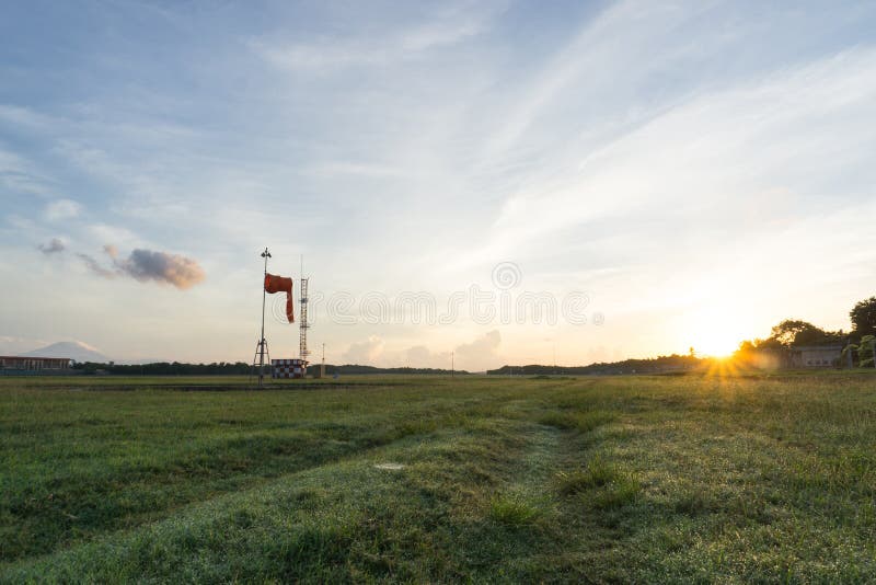 Campo de hierba con salida del sol y fondo del cielo azul fotografía de archivo Campo de hierba con salida del sol y fondo del cielo azul fotografía de archivo