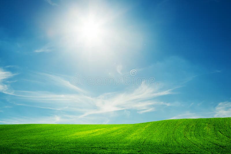 Campo de la primavera de la hierba verde Cielo asoleado azul