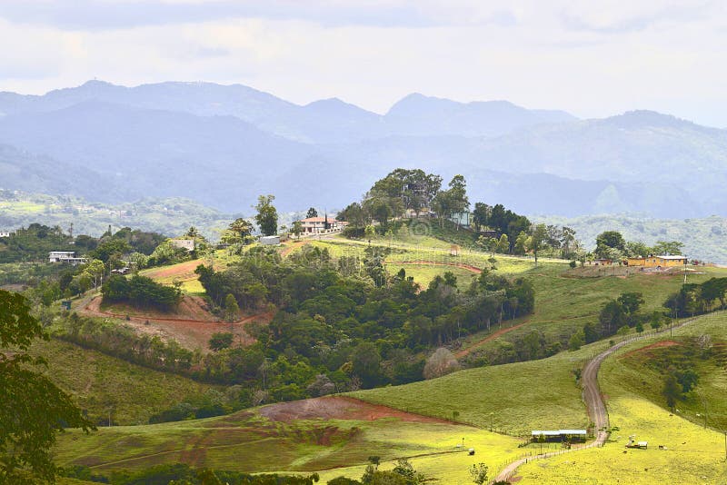 Campo de Puerto Rico foto de archivo. Imagen de bosque 47510386