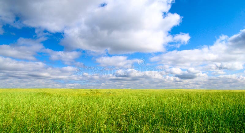 Campo di gas fotografie stock