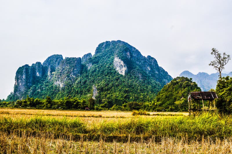 Campo del vieng di Vang immagine stock libera da diritti Campo del vieng di Vang immagine stock libera da diritti