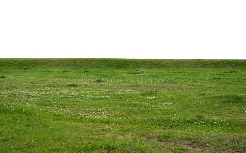 Campo di erba verde isolato su fondo bianco fotografia stock Campo di erba verde isolato su fondo bianco fotografia stock