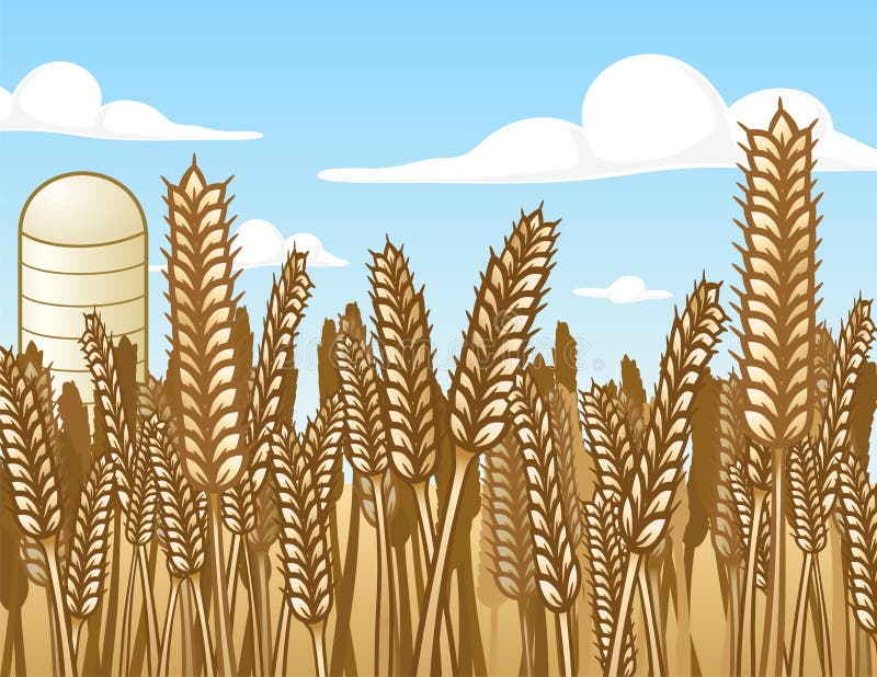 Campo di frumento illustrazione vettoriale Campo di frumento illustrazione vettoriale