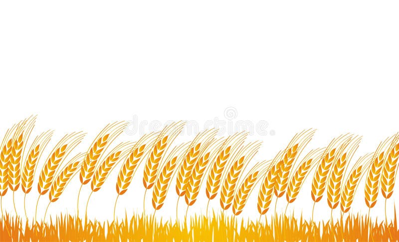 Campo di frumento illustrazione vettoriale Campo di frumento illustrazione vettoriale