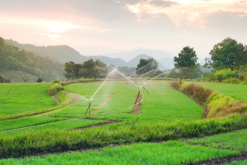 Campo do arroz do terraço do cenário em Chiangmai Tailândia imagem de stock royalty free Campo do arroz do terraço do cenário em Chiangmai Tailândia imagem de stock royalty free
