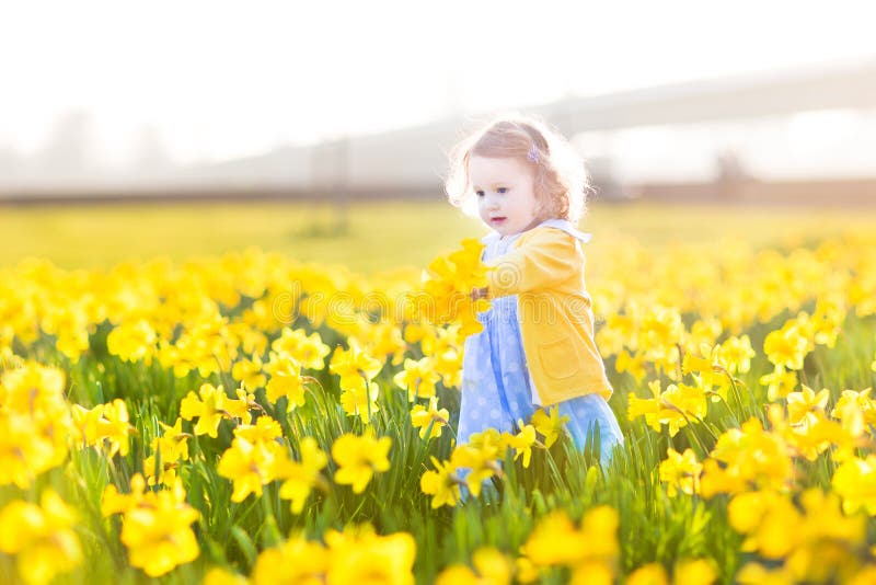 Campo dulce de la niña pequeña de las flores amarillas del narciso fotos de archivo libres de regalías Campo dulce de la niña pequeña de las flores amarillas del narciso fotos de archivo libres de regalías