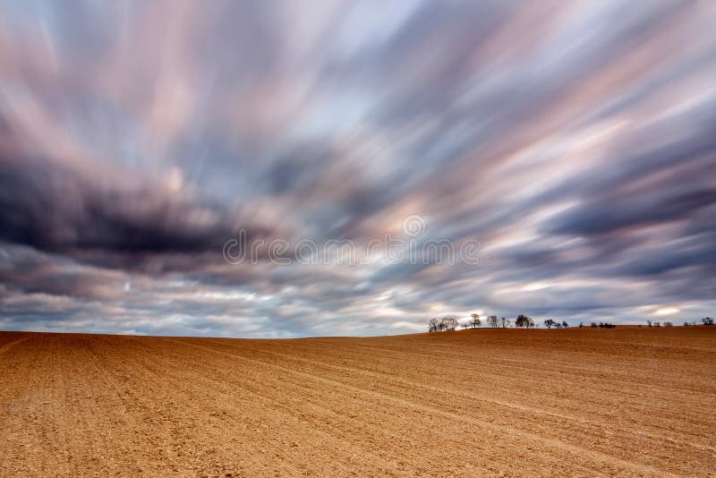 The field in windy weather. The field in windy weather